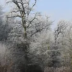 Reethus Stoefs *