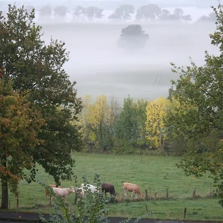 Reethus Stoefs