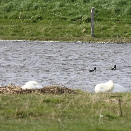 Apartament Reethus Stoefs Behrensdorf