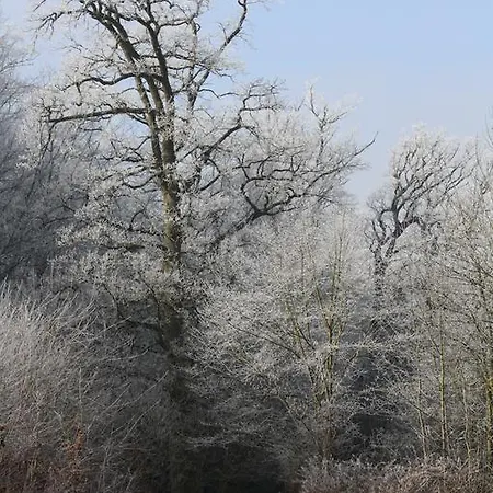 Reethus Stoefs *