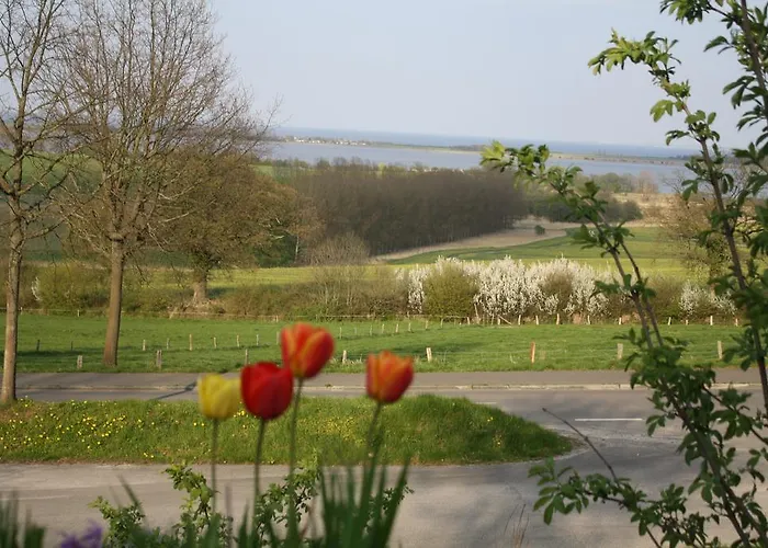 Reethus Stoefs Appartement *