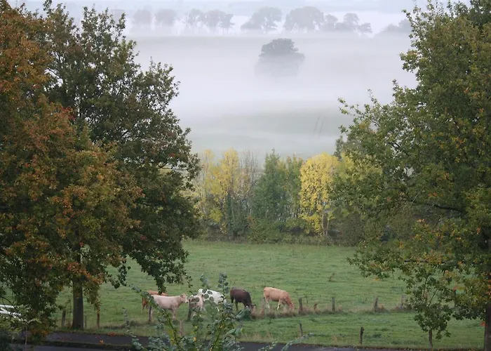 Reethus Stoefs