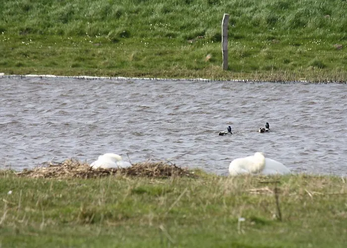 Appartement Reethus Stoefs Behrensdorf