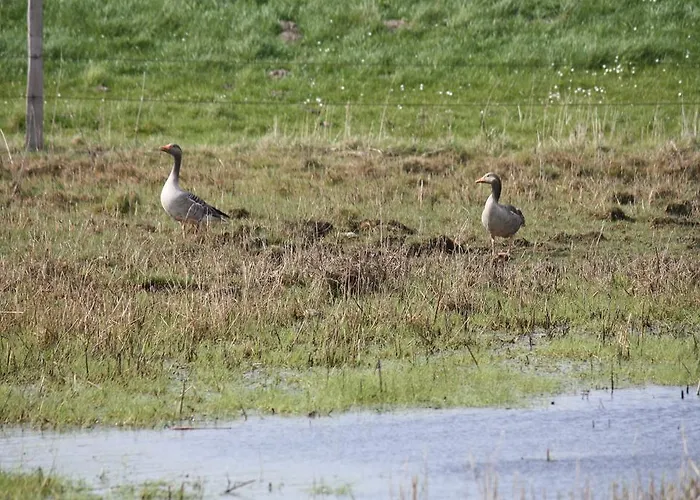 Reethus Stoefs Appartement *