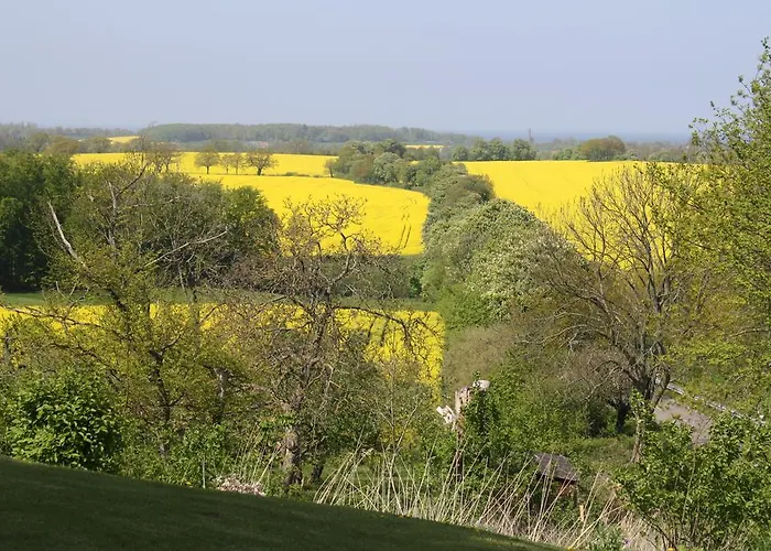 Reethus Stoefs * Behrensdorf